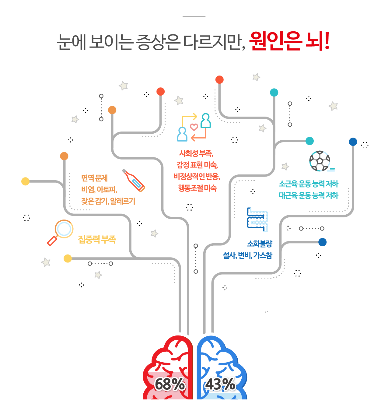 두뇌 설명 - 좌우뇌 균형