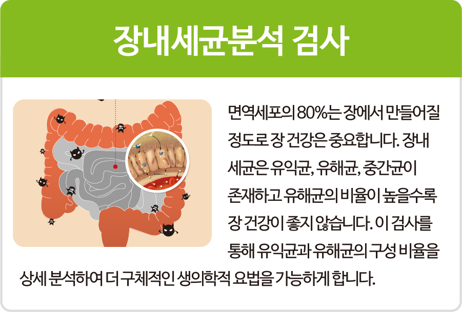 balancebrain_program_balancenutrition_preview_1-1
